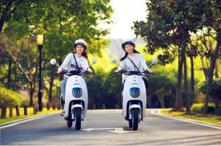 4月15日后電動(dòng)車、三輪車上牌指南 你最關(guān)心的問題都在這