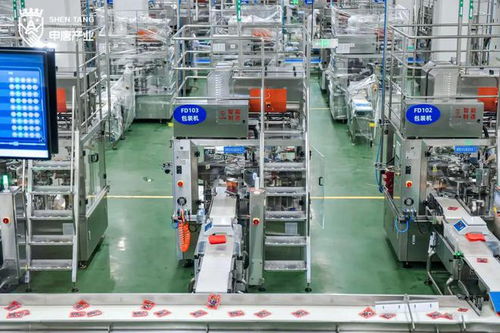 揭秘全球規模第一鋰電材料工廠 年產能17.5萬噸的行業巨擘